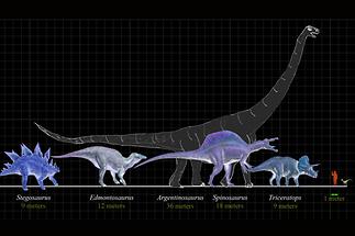 Dinosaur Size Comparison