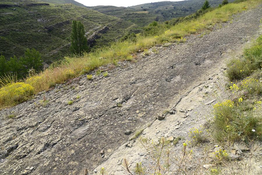 Saurian Tracks Valdecevillo