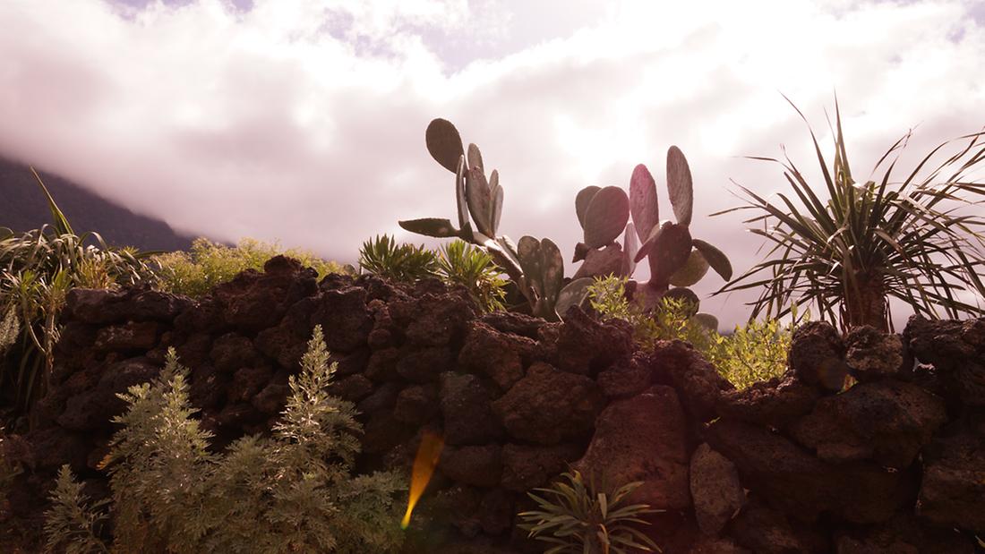 Ecomuseo de Guinea, El Hierro, Canary Islands, Spain. Photo: Natalia Zmajkovicova