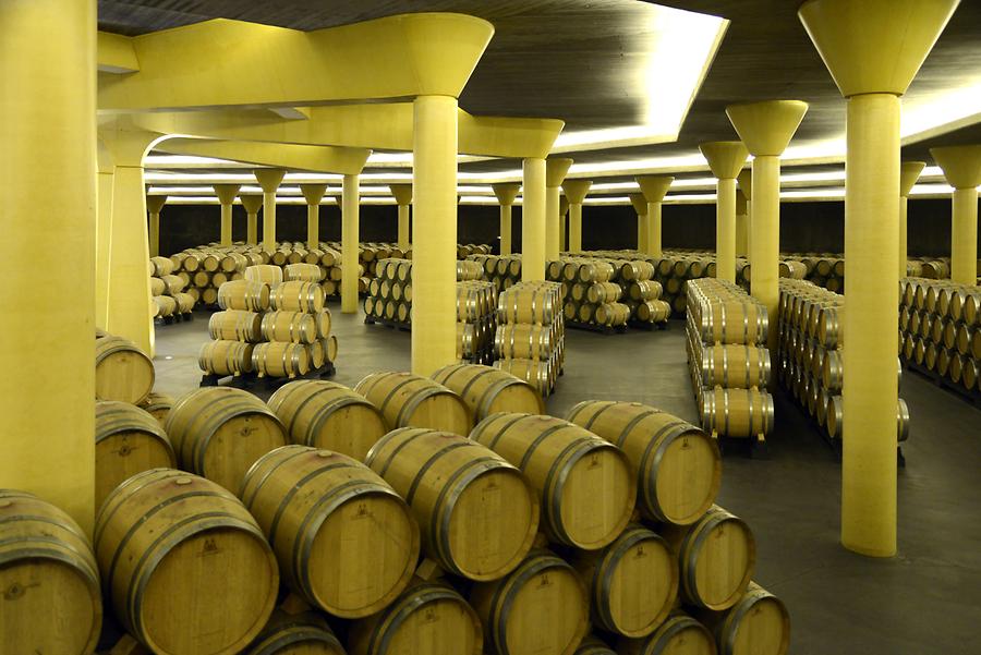 Briones - Wine Culture Museum, Wine Cellar