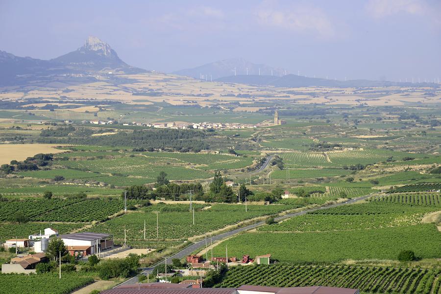 Landscape near Laguardia