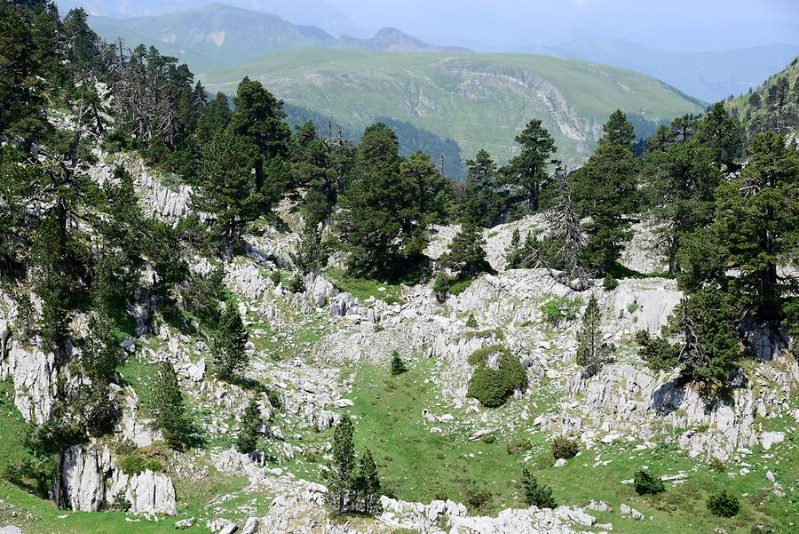 Pyrenees near Arette