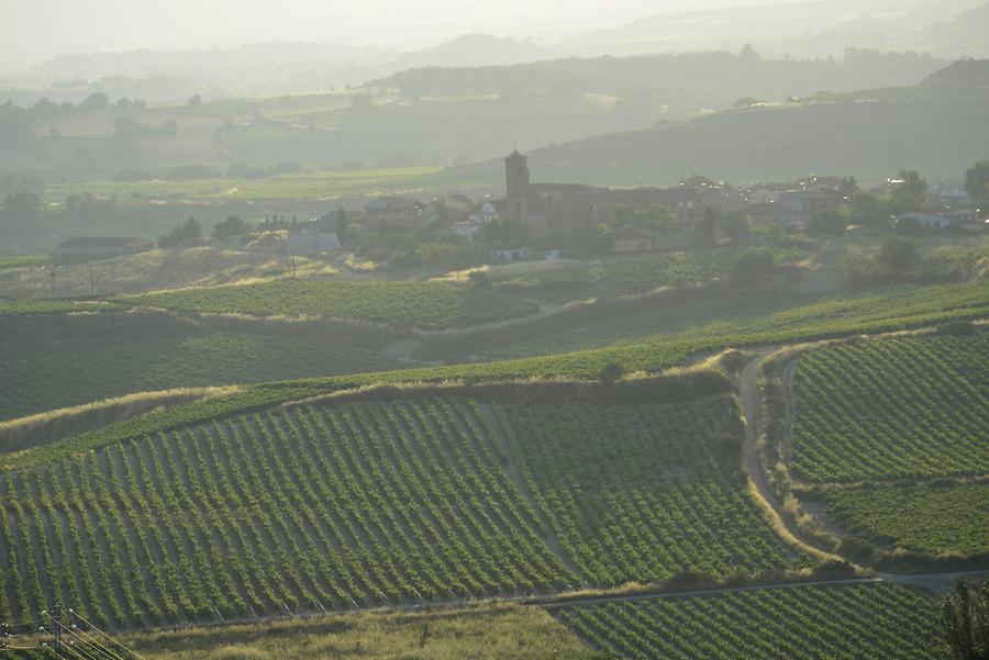Vineyards near Laguardia