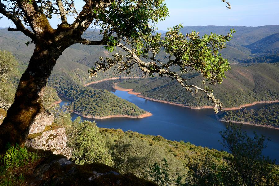 Monfragüe National Park - Tagus