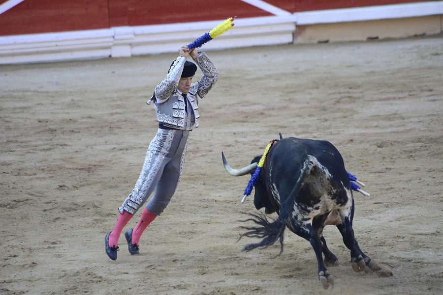 Banderillas Bullfight