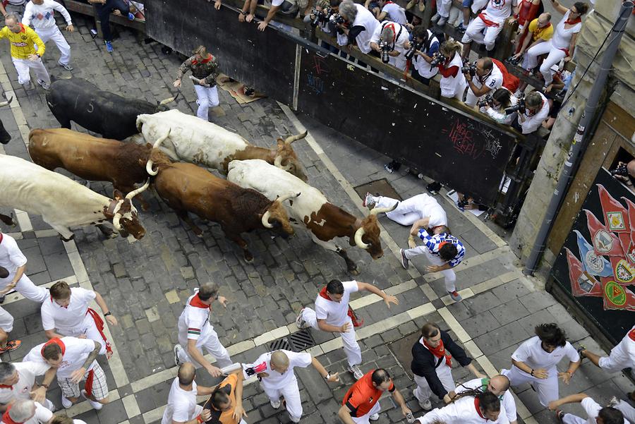 Bull Run Pamplona