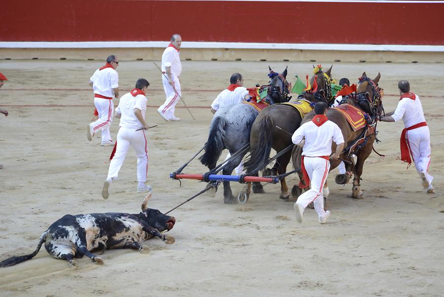 Dead Bull Bullfight