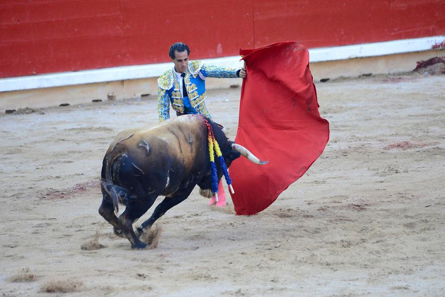 Matador Bullfight