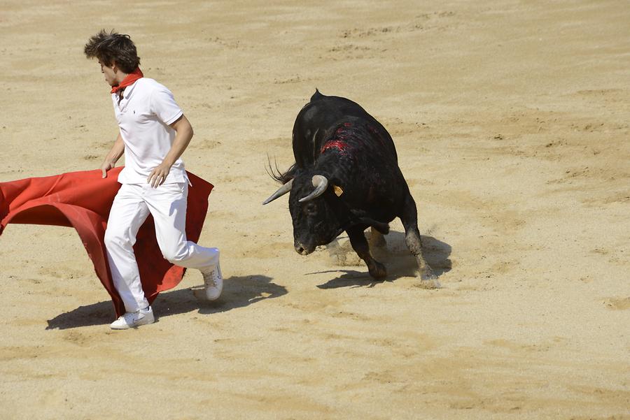 Matador Bullfight