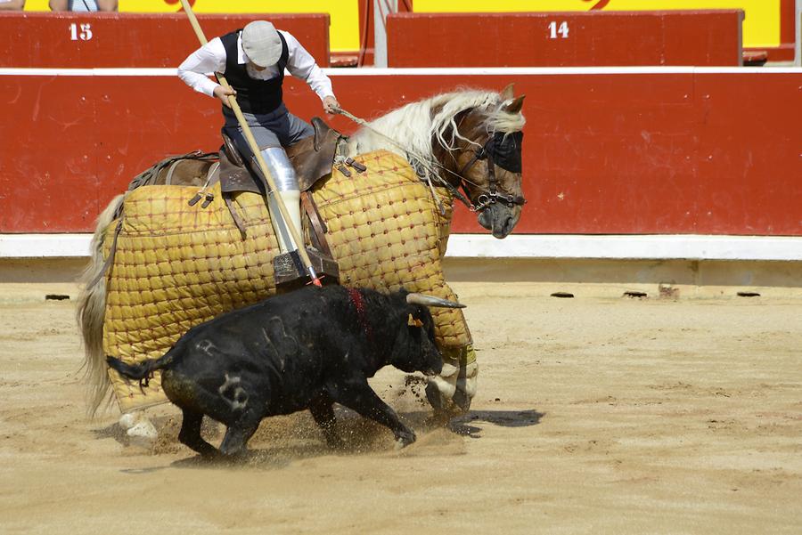 Picadores Bullfight
