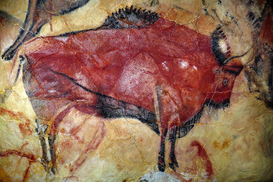 Altamira - Cave Painting