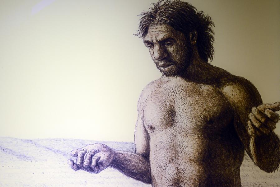 Altamira - Prehistoric Man