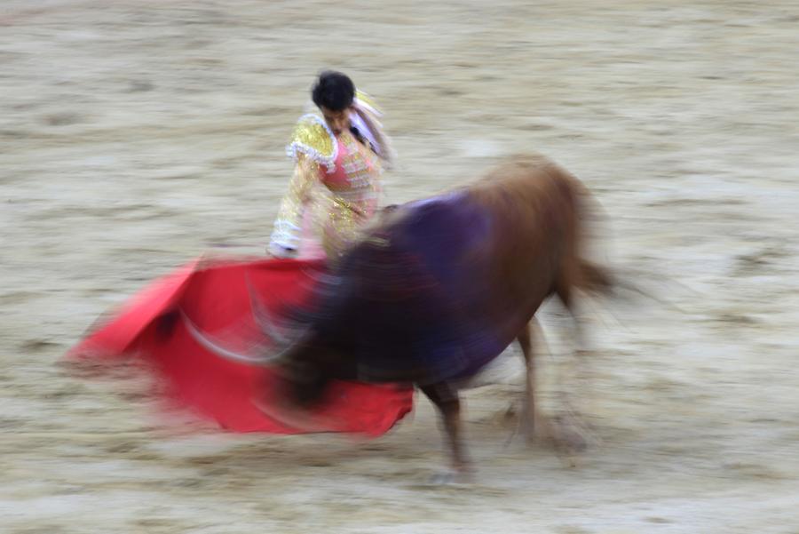Bullfight Pamplona
