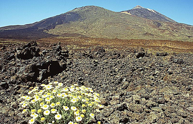 Pico de Teide National Park