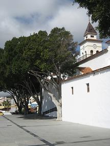 San Miguel de Abona (1)