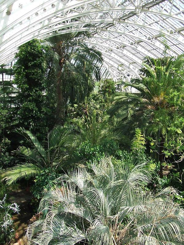 The Palm House, Royal Botanic Gardens (2)