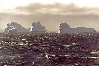 Looming icebergs y