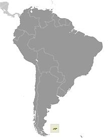 Falkland Islands (Islas Malvinas) in South America