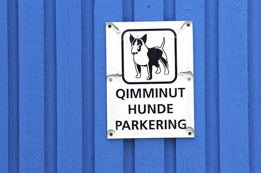 Parking for Sled Dogs