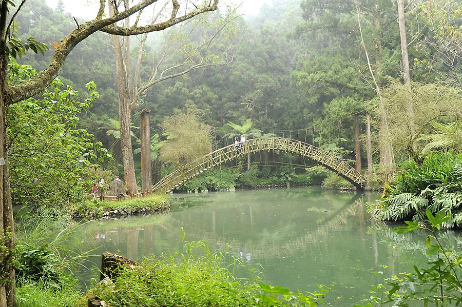 Hsitou Forest