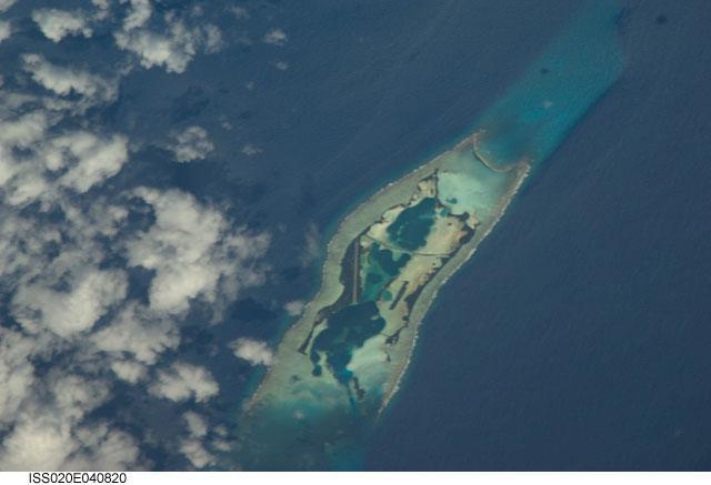 Palmyra Atoll (1)
